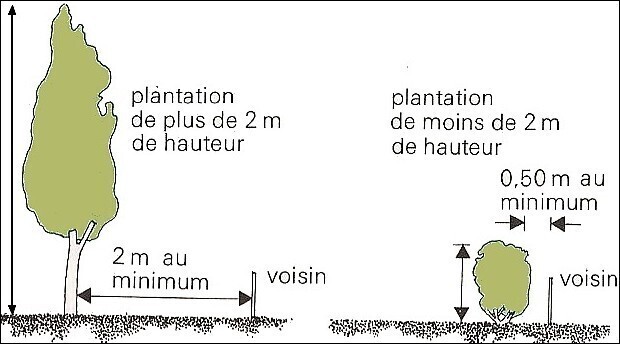 Plantations